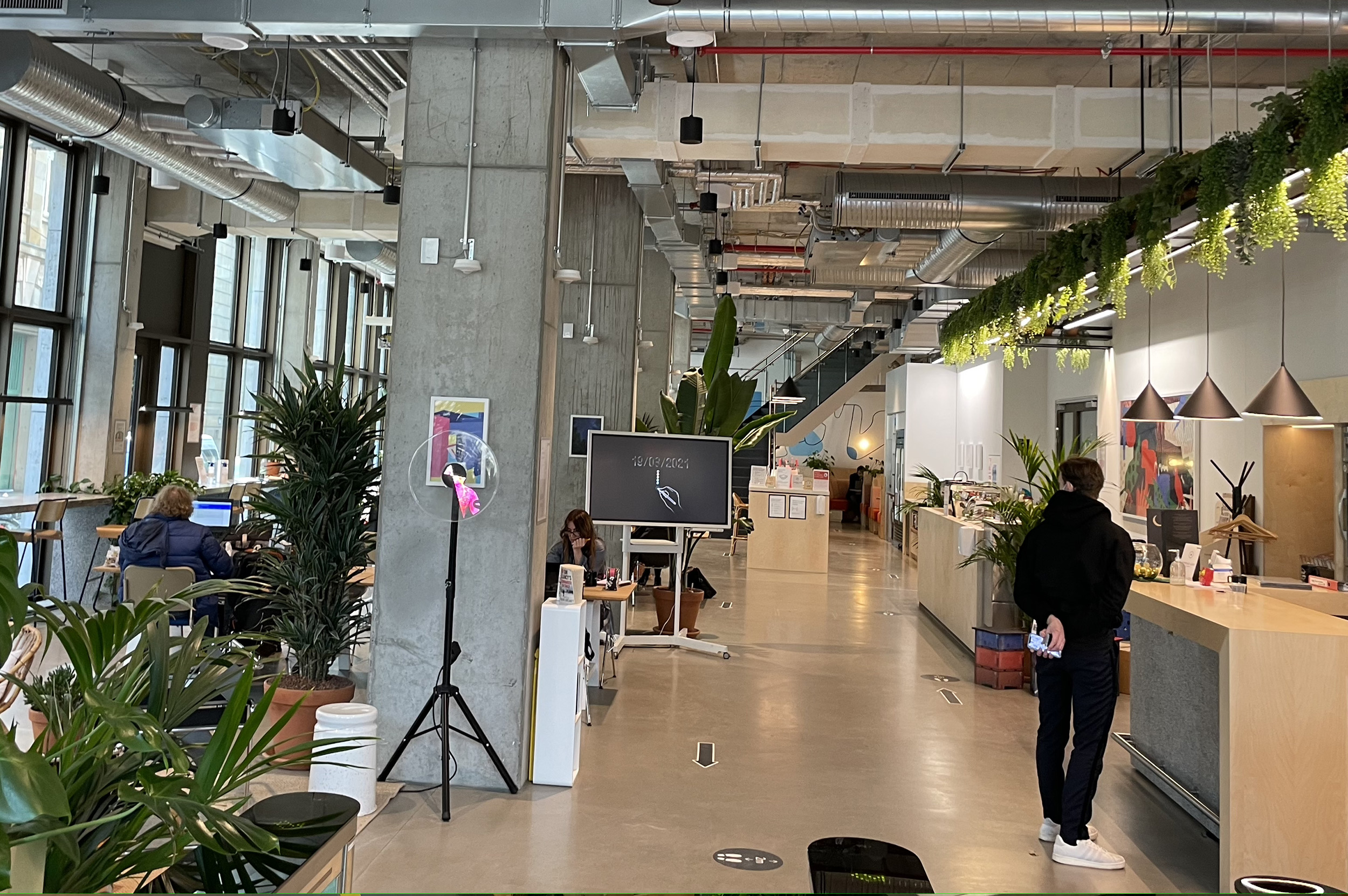 wework Projektplanung