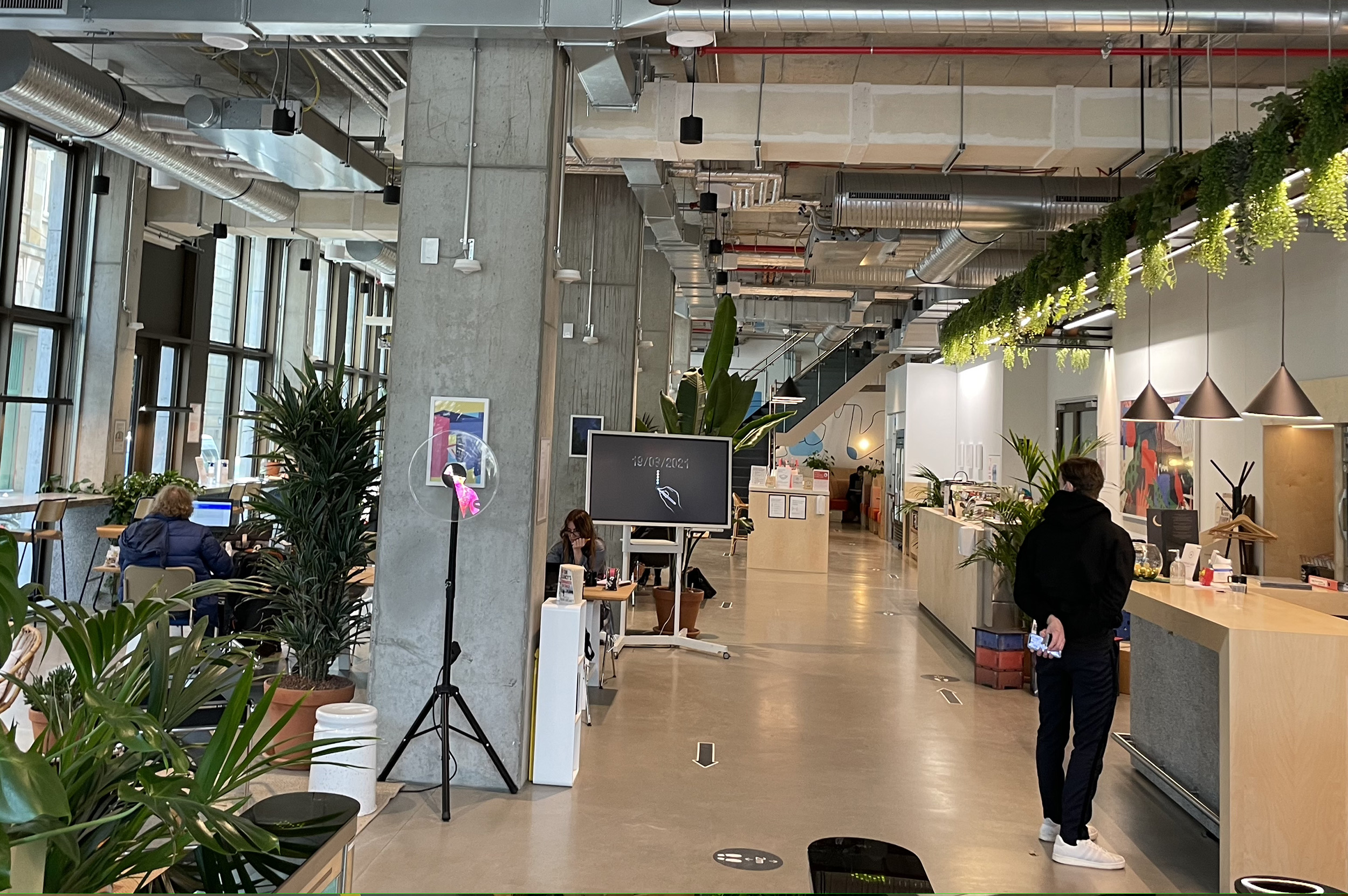 wework Projektplanung